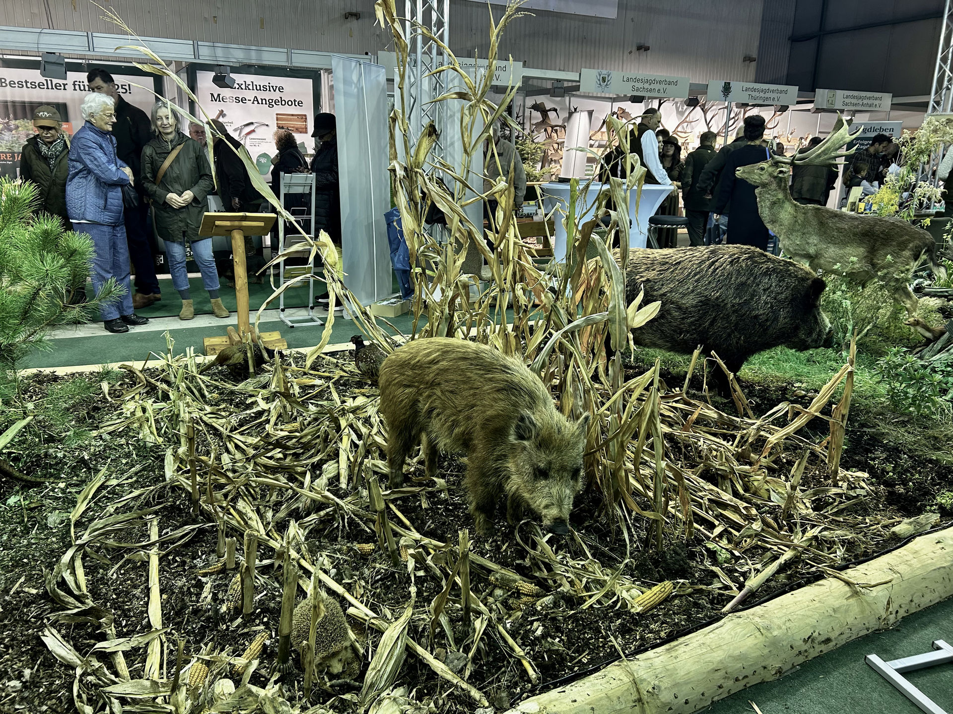 Die 34. Messe Jagd & Angeln erfuhr regen Zuspruch und lockte zahlreiche Besucher an. Foto: Björn Wagener