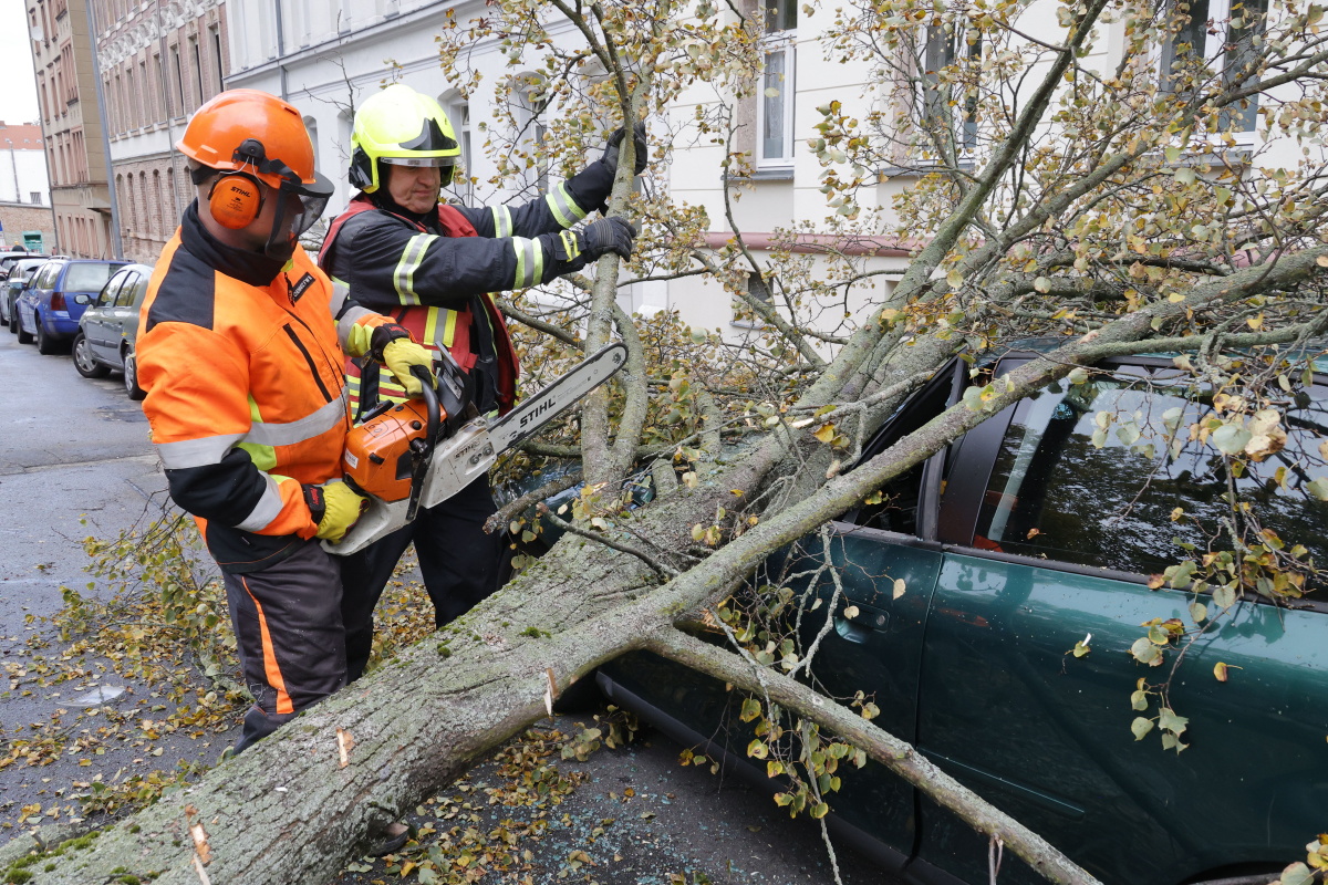 Sturm-Einsatz für die Feuerwehr! Ein Baum war auf der Blücherstraße auf einen Audi gekracht. Foto: ChemPic