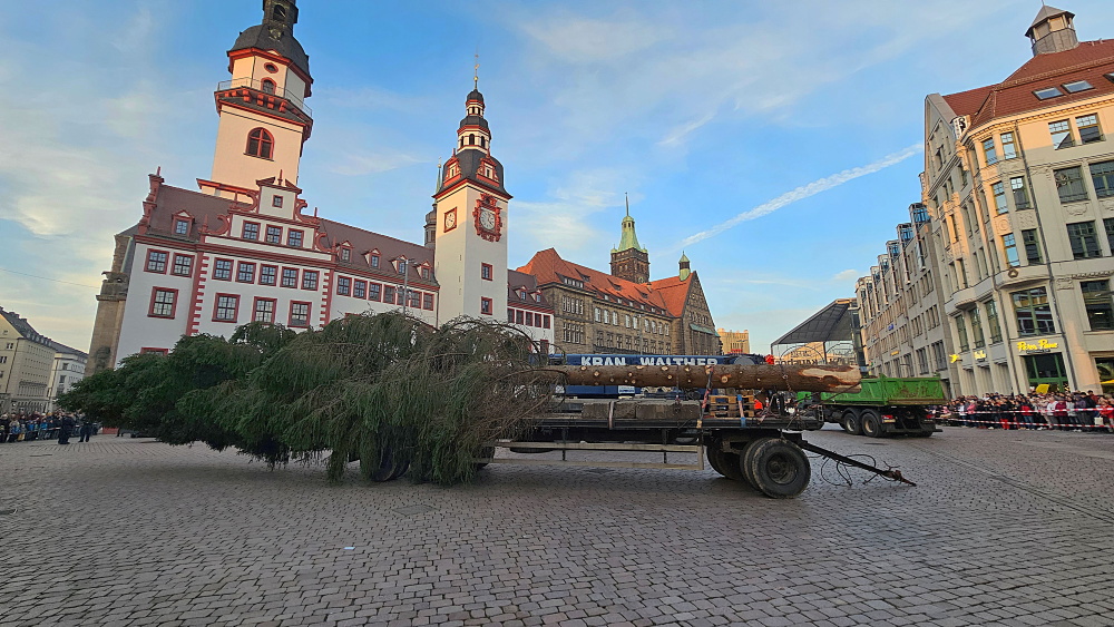 Der Kranfahrer von der Firma Kranwalter und die Mitarbeiter der Techno-Farm und Service GmbH Adorf (Erzgebirge) brachten die 70 Jahre alte Fichte für den Weihnachtsmarkt nach Chemnitz. Foto: Harry Härtel